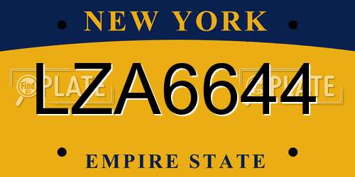 LZA6644 New York License Plate