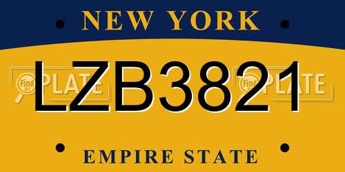 LZB3821 New York License Plate