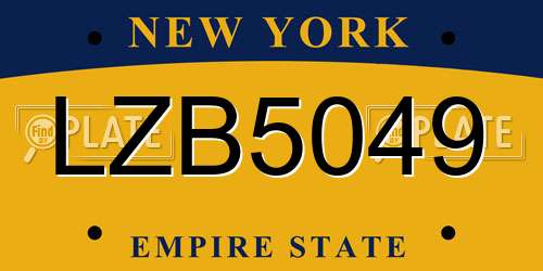 LZB5049 New York License Plate