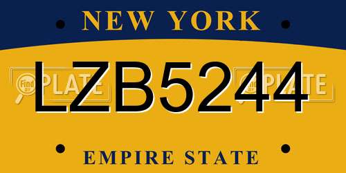 LZB5244 New York License Plate