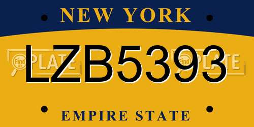 LZB5393 New York License Plate