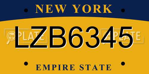 LZB6345 New York License Plate