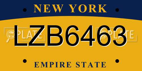 LZB6463 New York License Plate