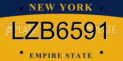 LZB6591 New York License Plate