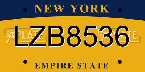LZB8536 New York License Plate