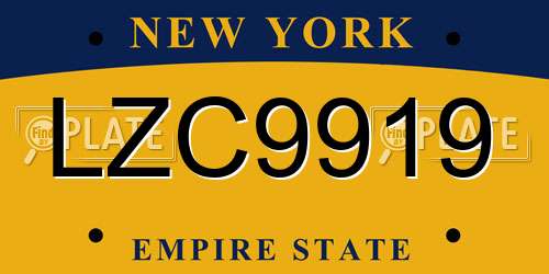 LZC9919 New York License Plate