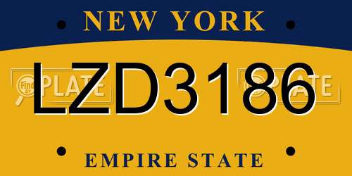 LZD3186 New York License Plate