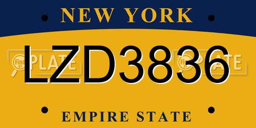 LZD3836 New York License Plate