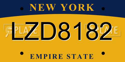 LZD8182 New York License Plate