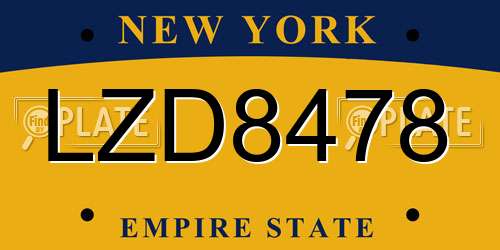 LZD8478 New York License Plate