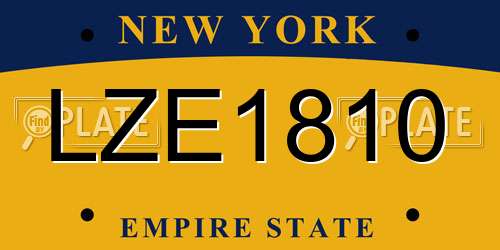 LZE1810 New York License Plate