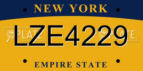 LZE4229 New York License Plate