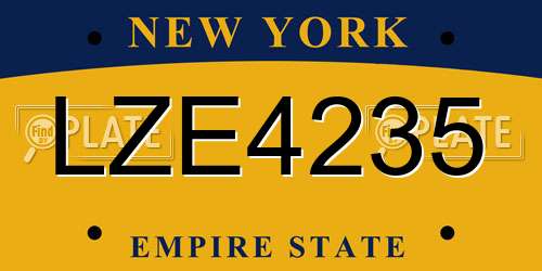 LZE4235 New York License Plate