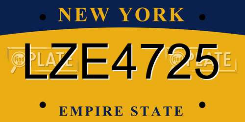 LZE4725 New York License Plate