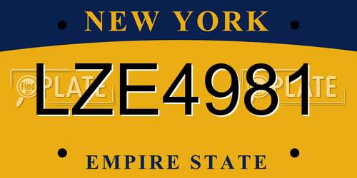 LZE4981 New York License Plate