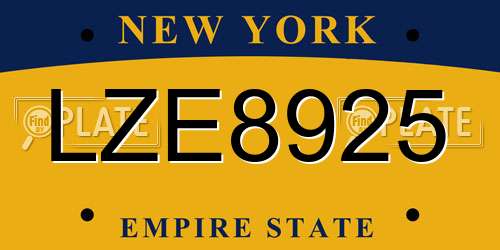 LZE8925 New York License Plate