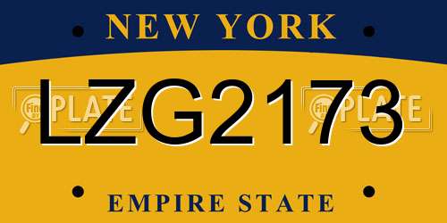 LZG2173 New York License Plate