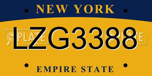 LZG3388 New York License Plate