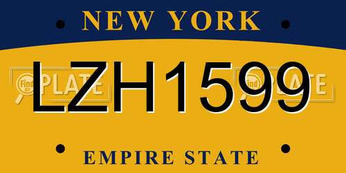 LZH1599 New York License Plate