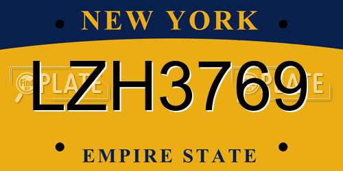 LZH3769 New York License Plate