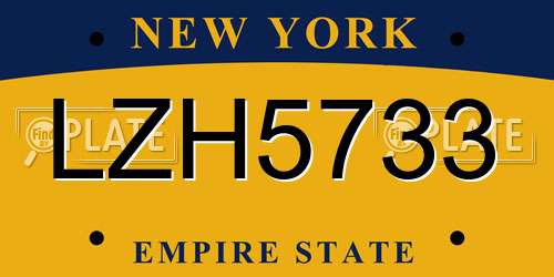 LZH5733 New York License Plate