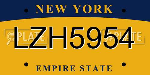 LZH5954 New York License Plate