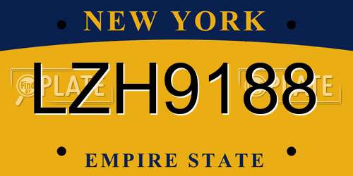 LZH9188 New York License Plate