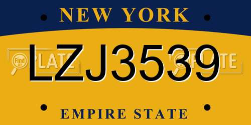 LZJ3539 New York License Plate