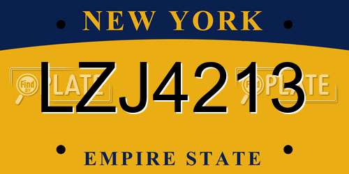 LZJ4213 New York License Plate