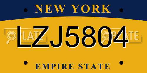 LZJ5804 New York License Plate