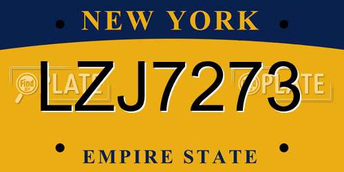 LZJ7273 New York License Plate