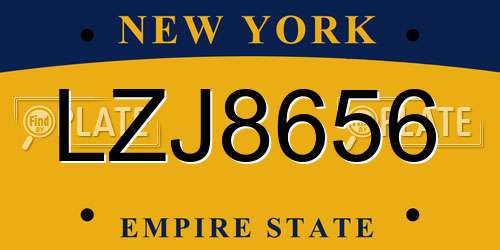 LZJ8656 New York License Plate
