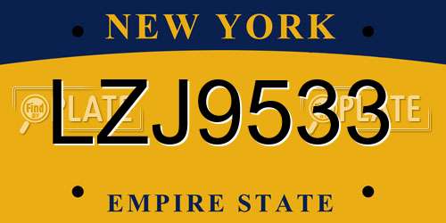 LZJ9533 New York License Plate