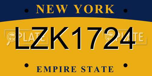 LZK1724 New York License Plate