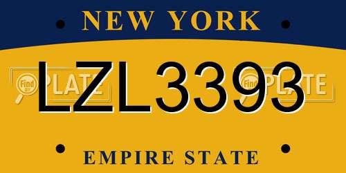 LZL3393 New York License Plate