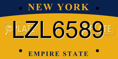 LZL6589 New York License Plate