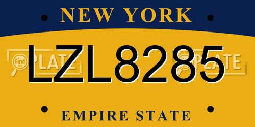 LZL8285 New York License Plate