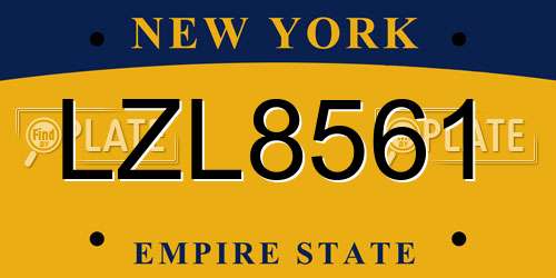 LZL8561 New York License Plate