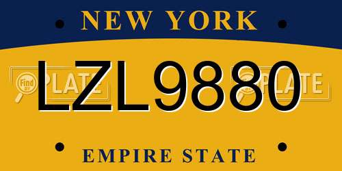 LZL9880 New York License Plate