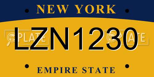 LZN1230 New York License Plate