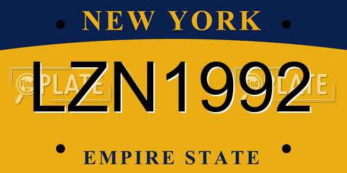 LZN1992 New York License Plate