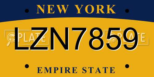 LZN7859 New York License Plate