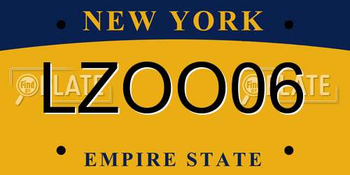 LZOO06 New York License Plate