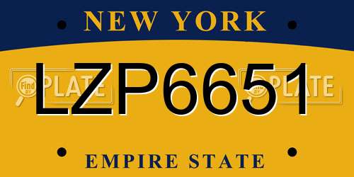 LZP6651 New York License Plate