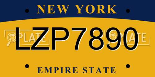 LZP7890 New York License Plate