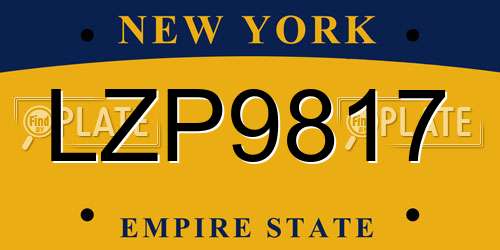 LZP9817 New York License Plate