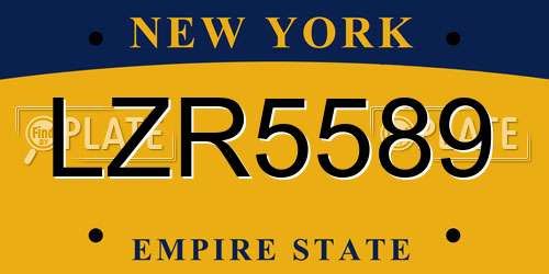 LZR5589 New York License Plate