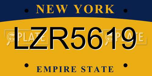 LZR5619 New York License Plate