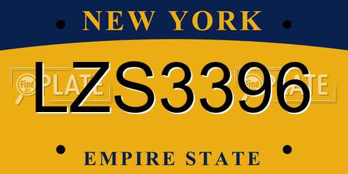 LZS3396 New York License Plate