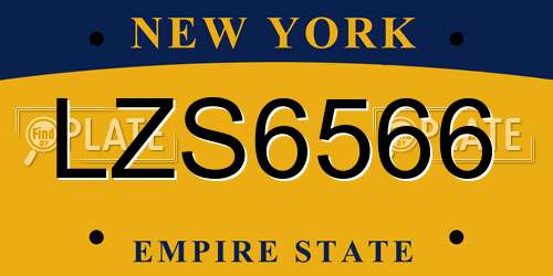 LZS6566 New York License Plate